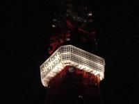 ホワイトバンドデーで、東京タワーもホワイトバンドをはめました。